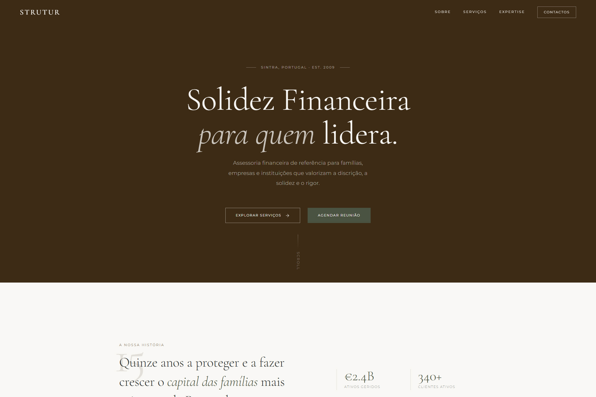 STRUTUR — template de consultoria financeira